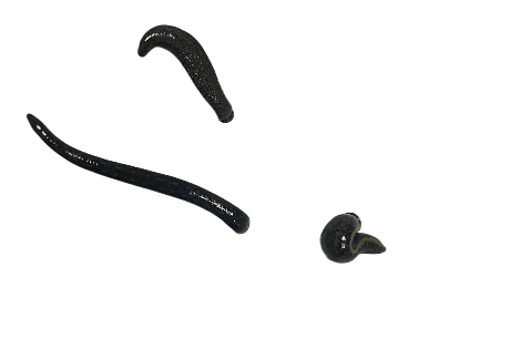 Zuchtblutegel klein (S)